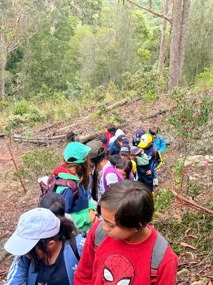 Expedición al corazón del subpáramo: descubriendo los tesoros que nos rodean